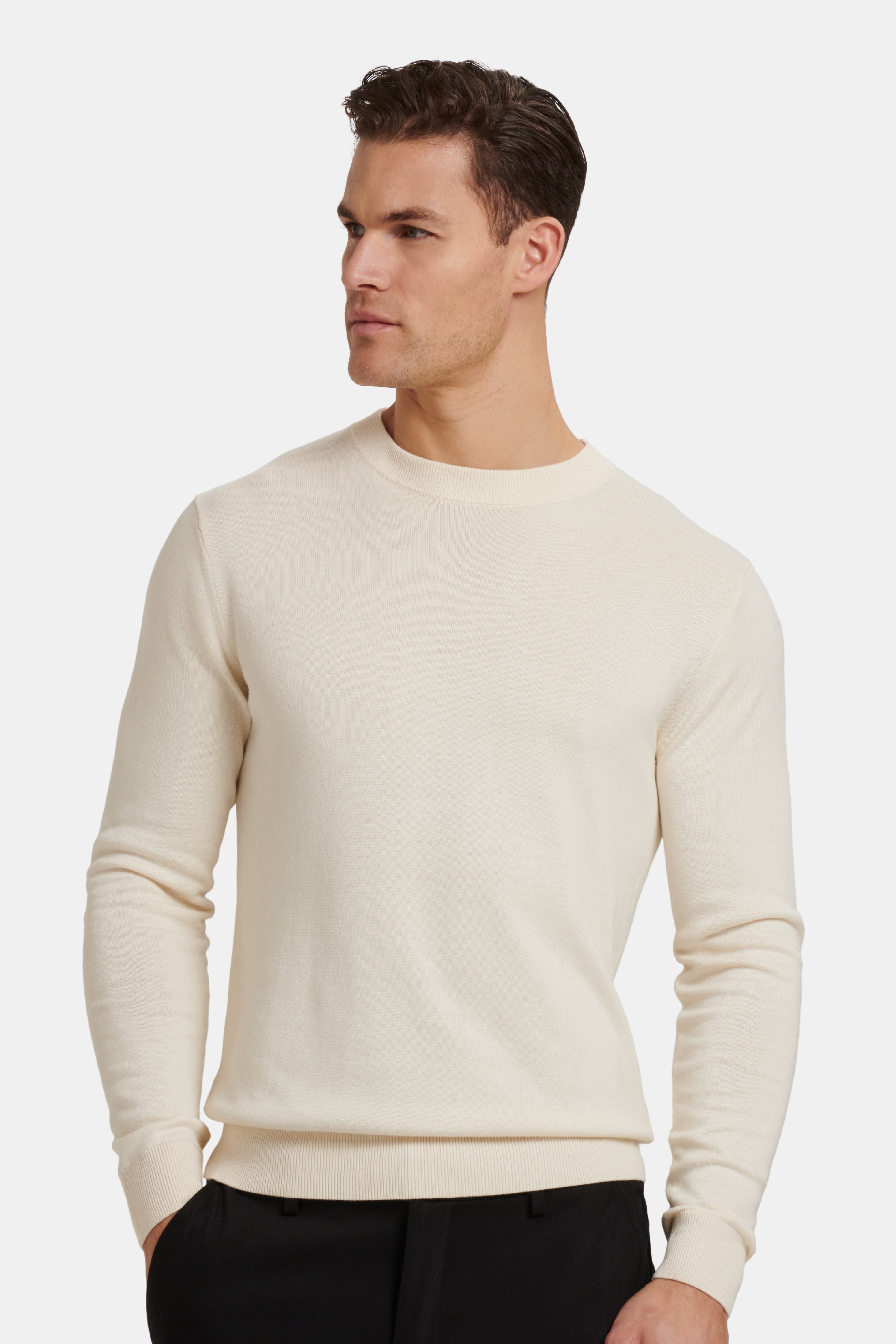 THE SANTONI CREWNECK SWEATER | ICON