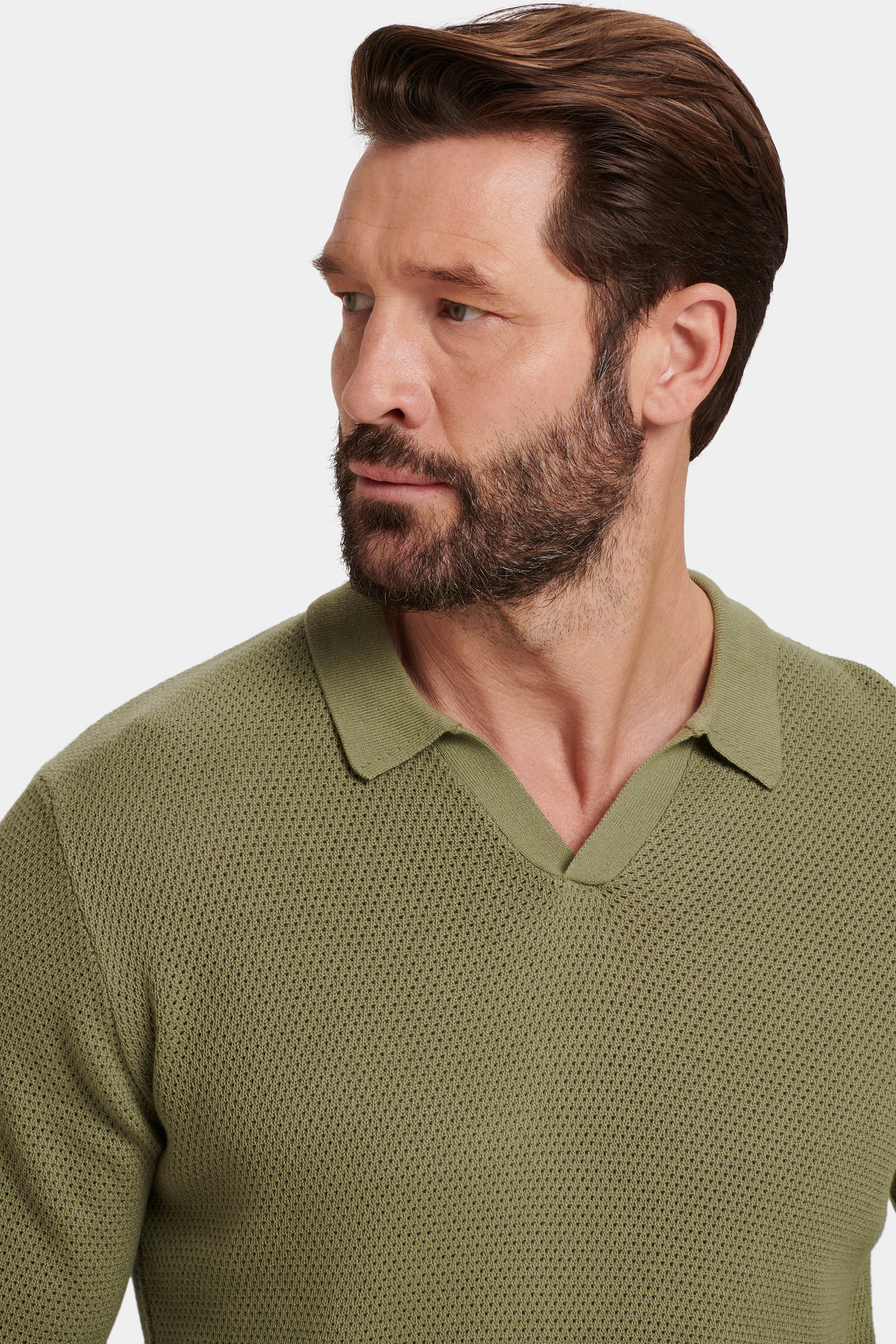 #color_Olive Green