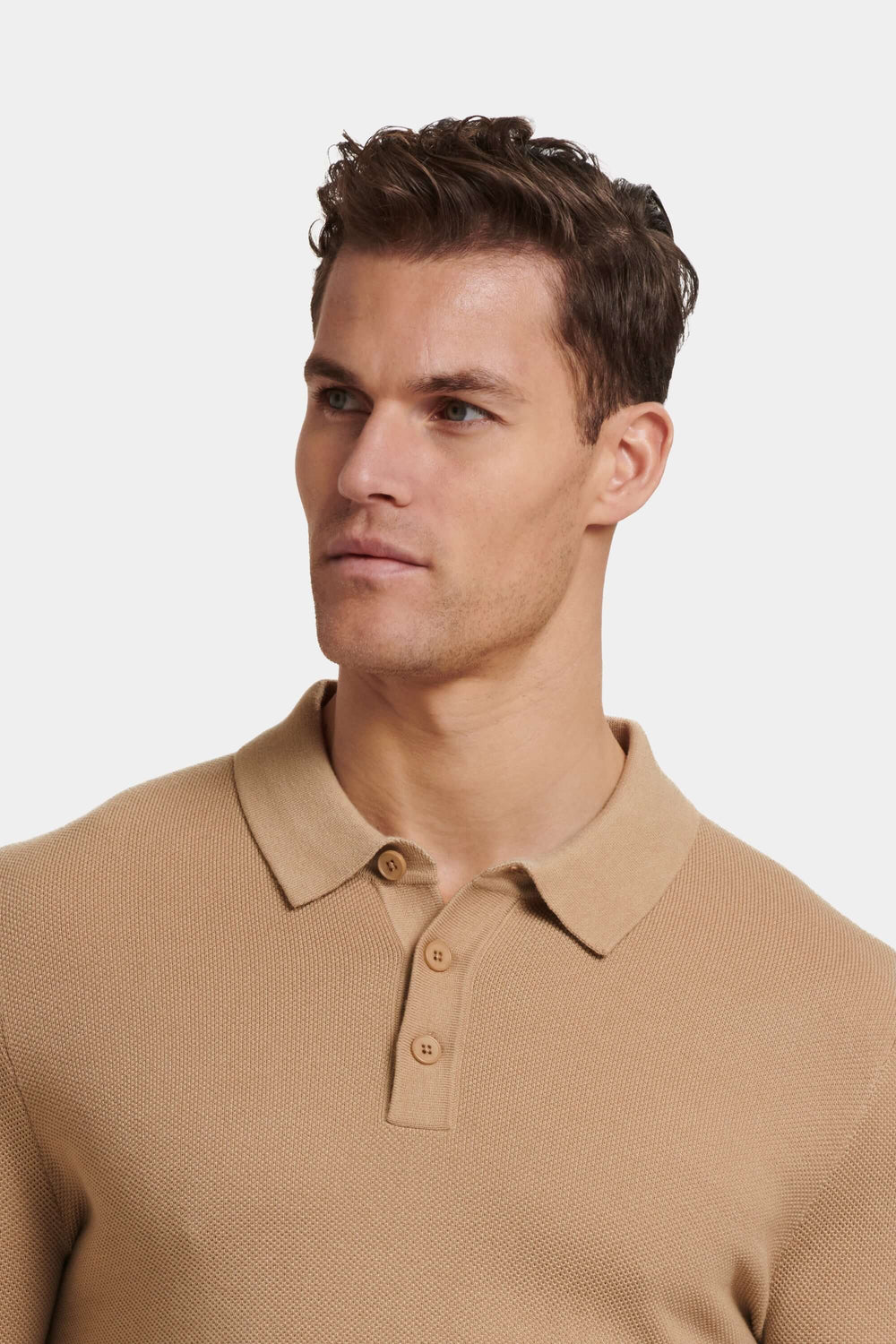 THE ARI POLO